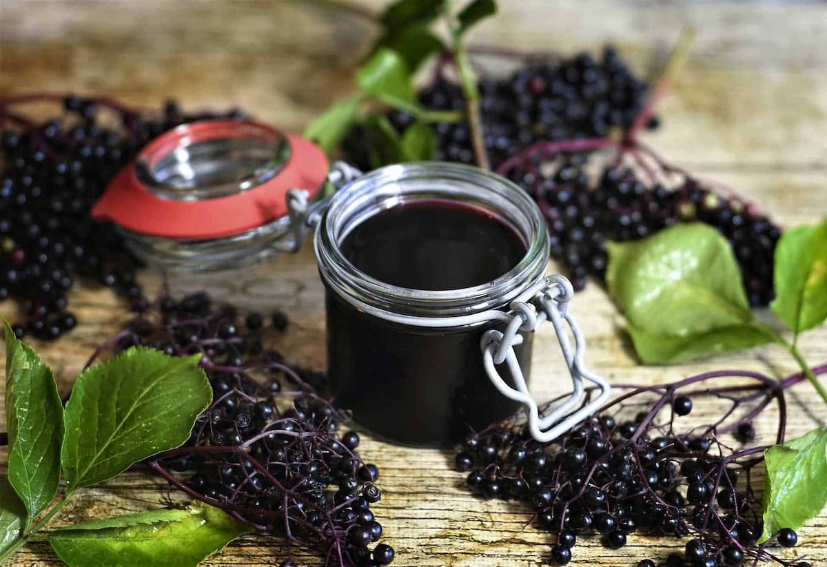 elderberry-syrup-recipe