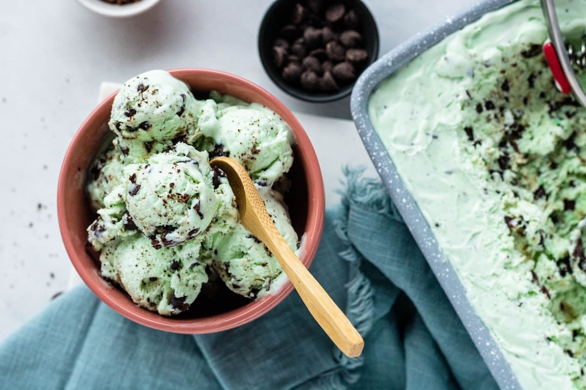 mint-chocolate-chip-ice-cream-recipe