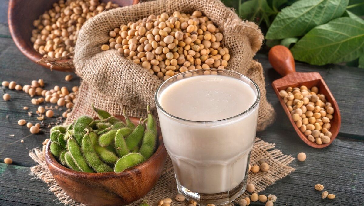 soybean-milk-recipe